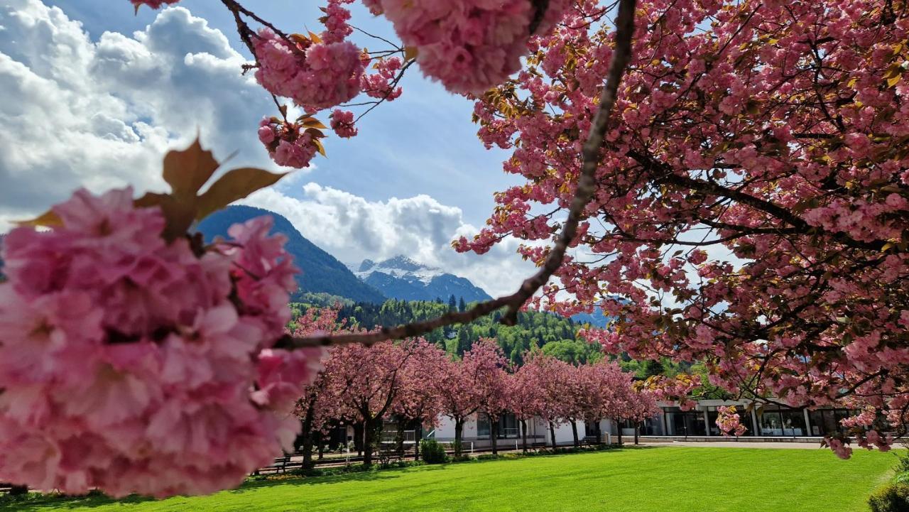 Haus Weidau Lägenhet Berchtesgaden Exteriör bild